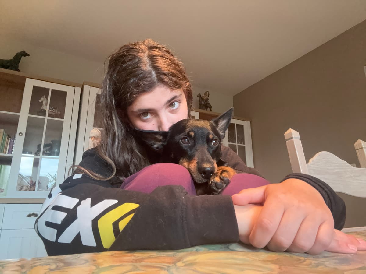 Cuddlebug Muffin