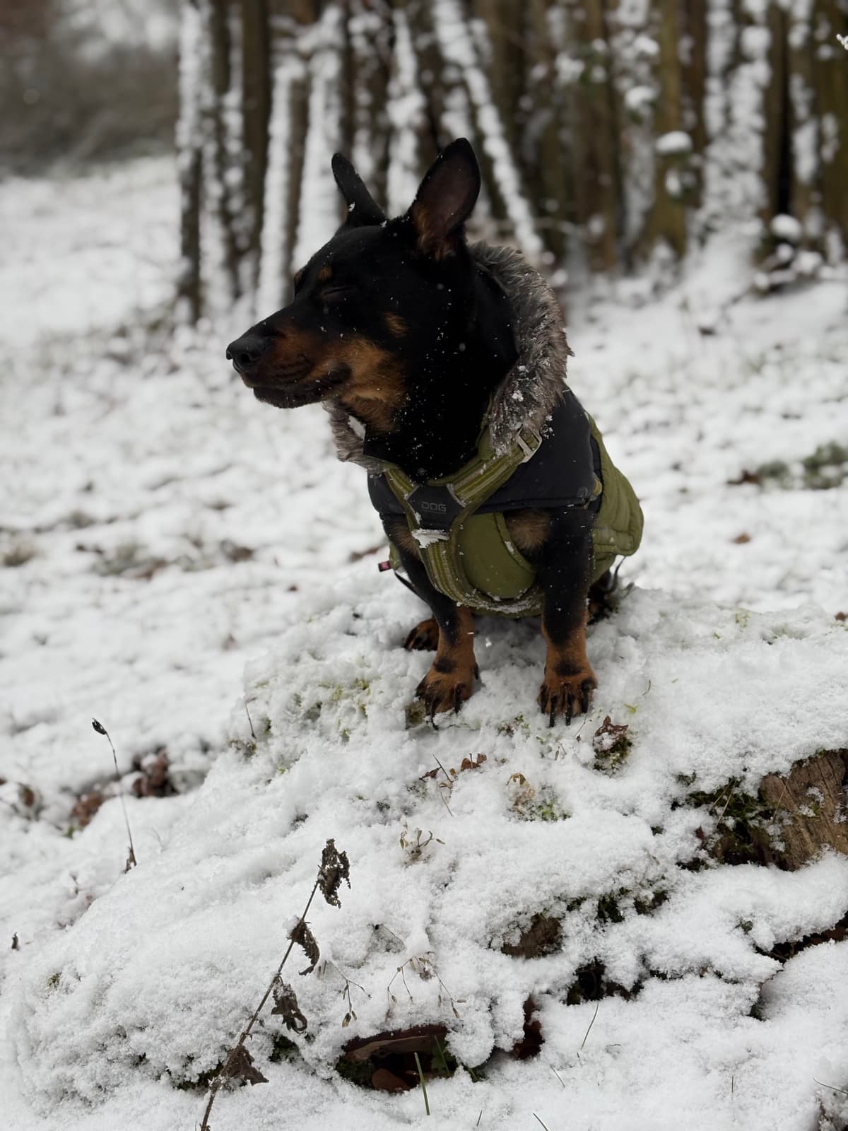 Winter ready